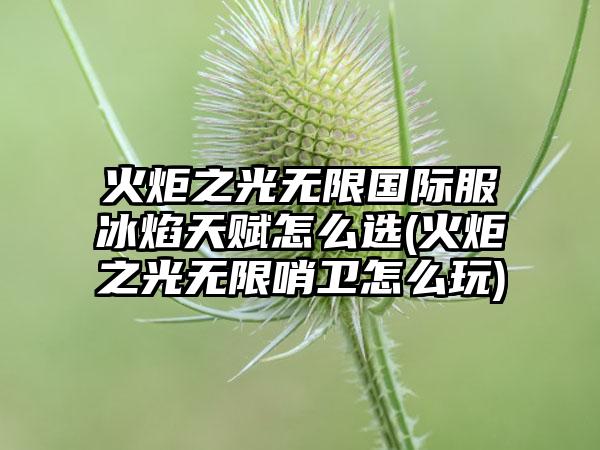 火炬之光无限国际服冰焰天赋怎么选(火炬之光无限哨卫怎么玩)