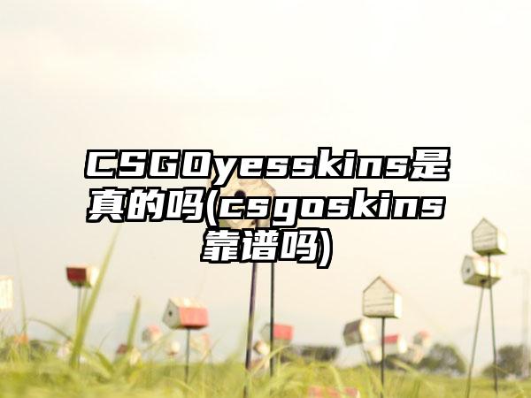 CSGOyesskins是真的吗(csgoskins靠谱吗)