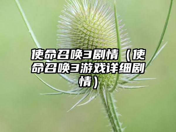 使命召唤3剧情（使命召唤3游戏详细剧情）