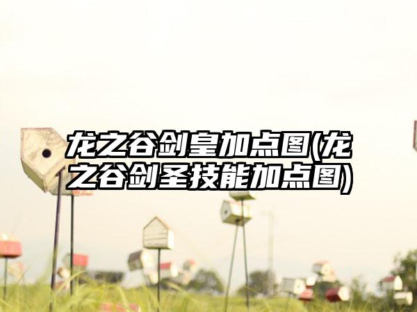 龙之谷剑皇加点图(龙之谷剑圣技能加点图)