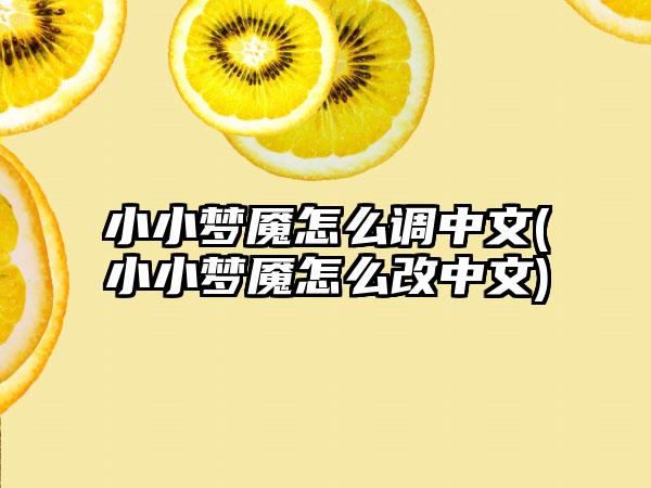 小小梦魇怎么调中文(小小梦魇怎么改中文)