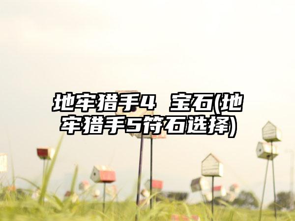 地牢猎手4 宝石(地牢猎手5符石选择)