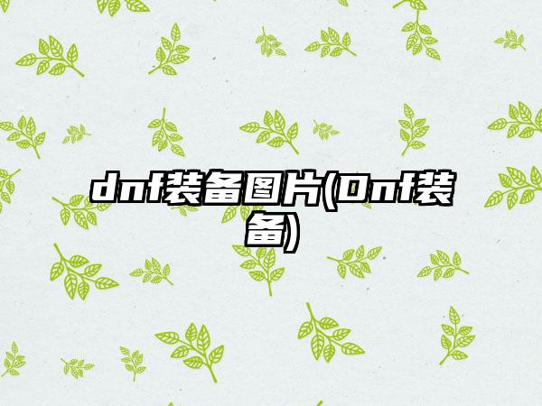 dnf装备图片(Dnf装备)