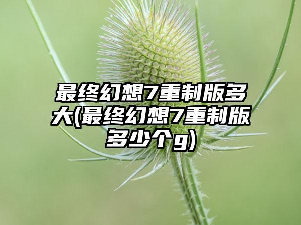 最终幻想7重制版多大(最终幻想7重制版多少个g)