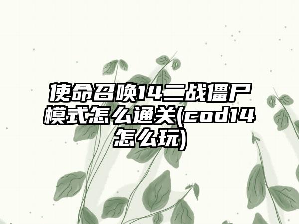 使命召唤14二战僵尸模式怎么通关(cod14怎么玩)