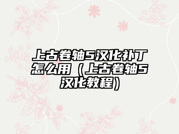 上古卷轴5汉化补丁怎么用（上古卷轴5汉化教程）