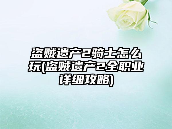 盗贼遗产2骑士怎么玩(盗贼遗产2全职业详细攻略)