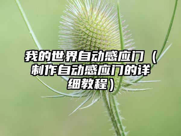 我的世界自动感应门（制作自动感应门的详细教程）
