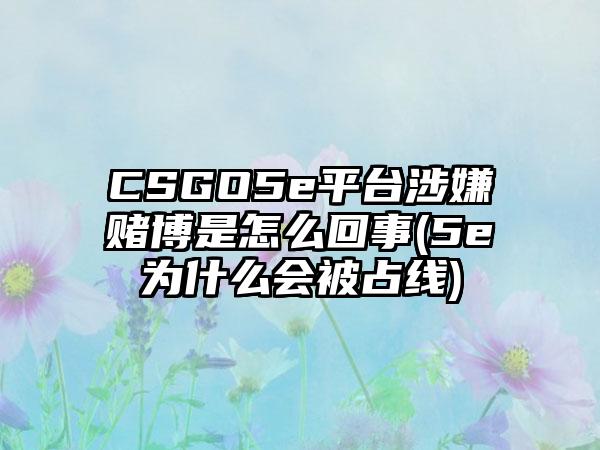 CSGO5e平台涉嫌赌博是怎么回事(5e为什么会被占线)