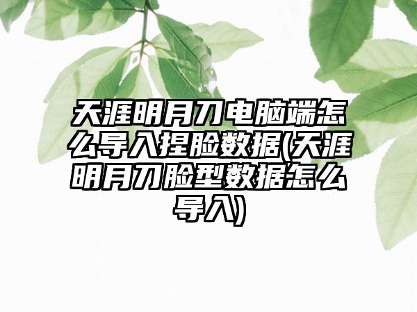 天涯明月刀电脑端怎么导入捏脸数据(天涯明月刀脸型数据怎么导入)