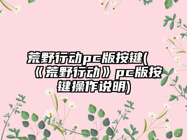 荒野行动pc版按键(《荒野行动》pc版按键操作说明)