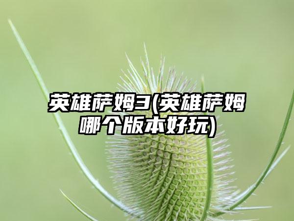 英雄萨姆3(英雄萨姆哪个版本好玩)
