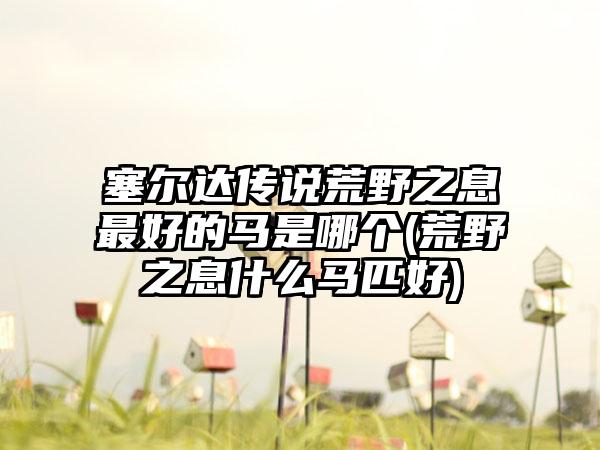 塞尔达传说荒野之息最好的马是哪个(荒野之息什么马匹好)
