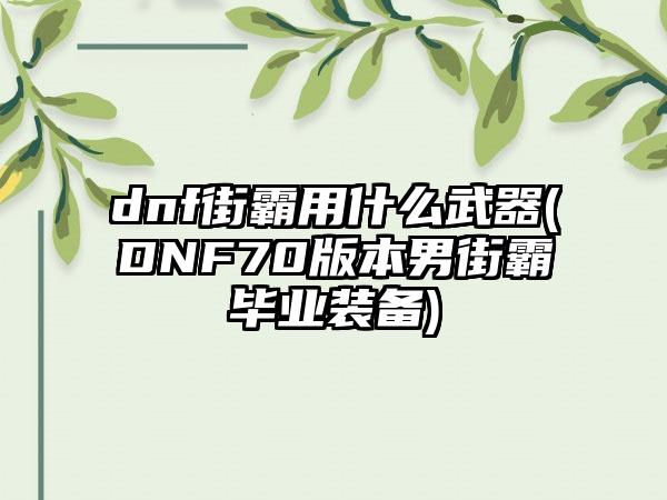 dnf街霸用什么武器(DNF70版本男街霸毕业装备)