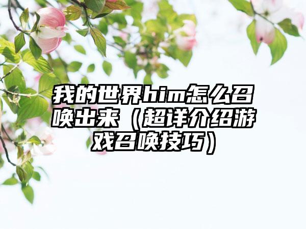 我的世界him怎么召唤出来（超详介绍游戏召唤技巧）