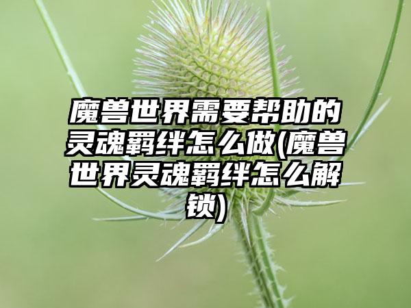 魔兽世界需要帮助的灵魂羁绊怎么做(魔兽世界灵魂羁绊怎么解锁)