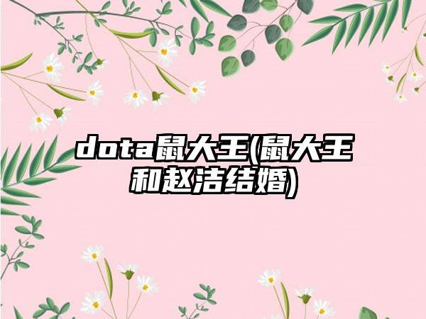 dota鼠大王(鼠大王和赵洁结婚)