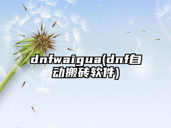 dnfwaigua(dnf自动搬砖软件)