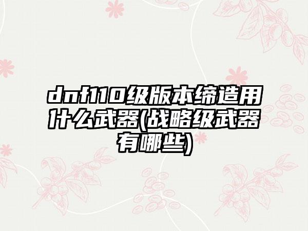 dnf110级版本缔造用什么武器(战略级武器有哪些)