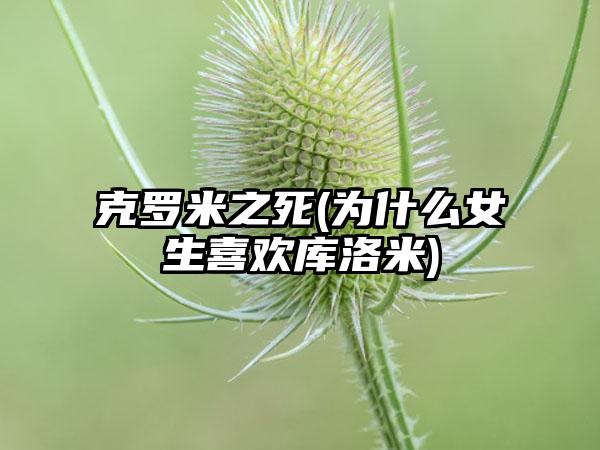 克罗米之死(为什么女生喜欢库洛米)