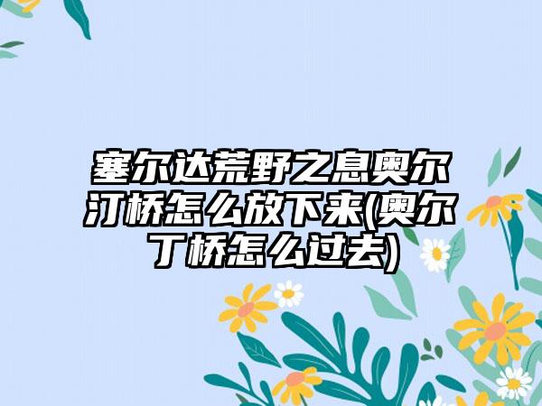塞尔达荒野之息奥尔汀桥怎么放下来(奥尔丁桥怎么过去)