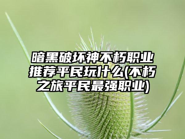 暗黑破坏神不朽职业推荐平民玩什么(不朽之旅平民最强职业)