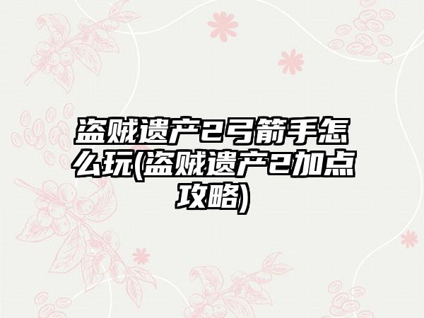 盗贼遗产2弓箭手怎么玩(盗贼遗产2加点攻略)