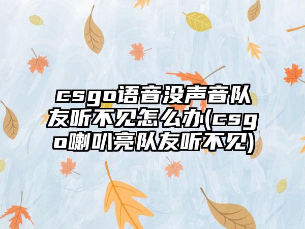 csgo语音没声音队友听不见怎么办(csgo喇叭亮队友听不见)