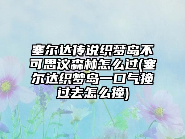 塞尔达传说织梦岛不可思议森林怎么过(塞尔达织梦岛一口气撞过去怎么撞)