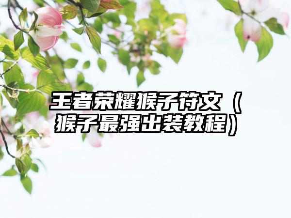 王者荣耀猴子符文（猴子最强出装教程）