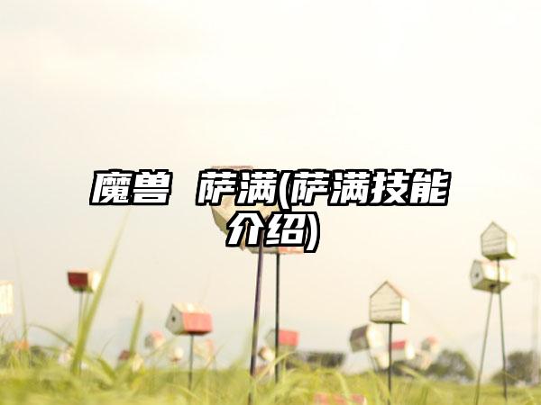 魔兽 萨满(萨满技能介绍)