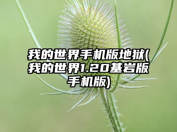 我的世界手机版地狱(我的世界1.20基岩版手机版)