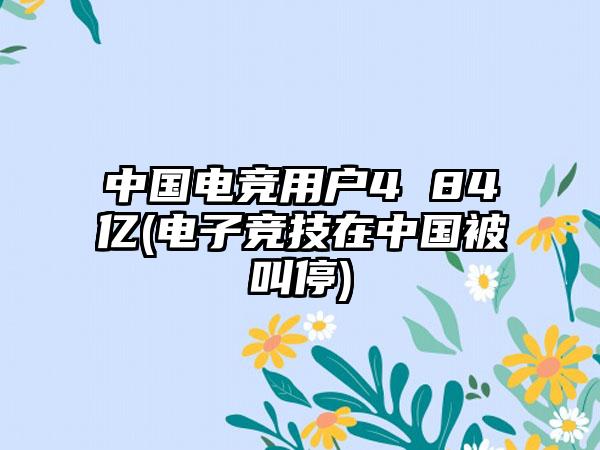 中国电竞用户4 84亿(电子竞技在中国被叫停)