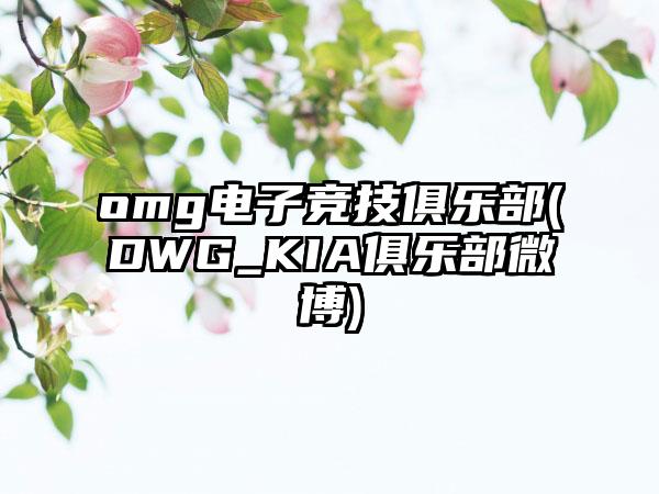 omg电子竞技俱乐部(DWG_KIA俱乐部微博)