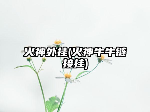 火神外挂(火神牛牛链接挂)