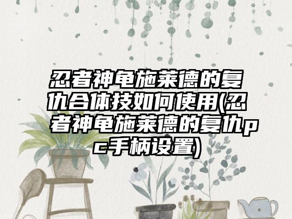 忍者神龟施莱德的复仇合体技如何使用(忍者神龟施莱德的复仇pc手柄设置)