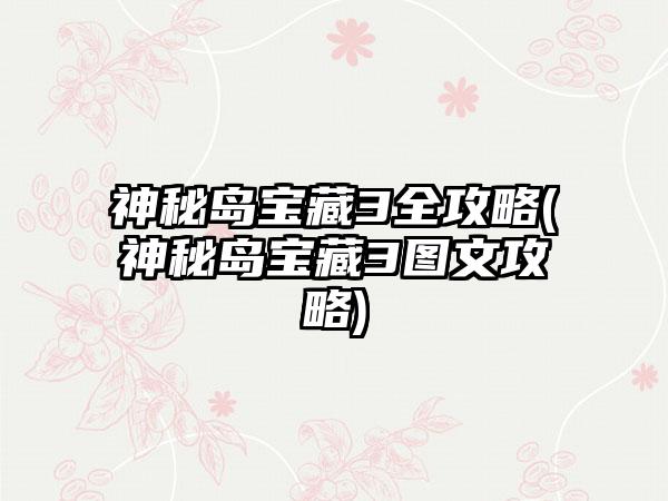 神秘岛宝藏3全攻略(神秘岛宝藏3图文攻略)