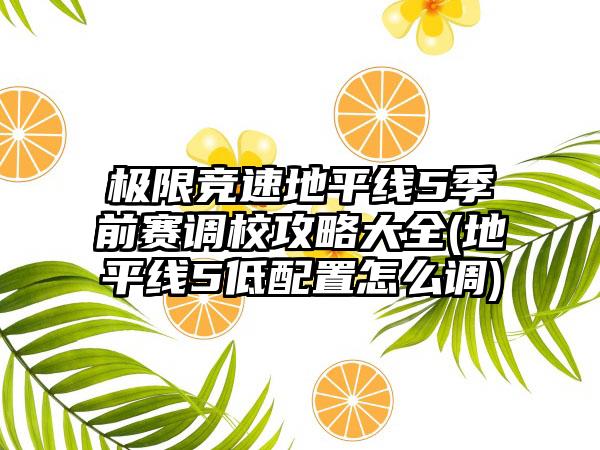 极限竞速地平线5季前赛调校攻略大全(地平线5低配置怎么调)
