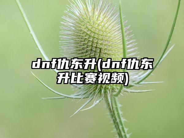 dnf仇东升(dnf仇东升比赛视频)