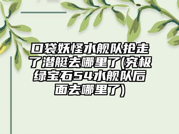 口袋妖怪水舰队抢走了潜艇去哪里了(究极绿宝石54水舰队后面去哪里了)