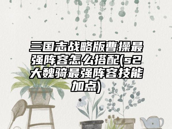 三国志战略版曹操最强阵容怎么搭配(s2大魏骑最强阵容技能加点)