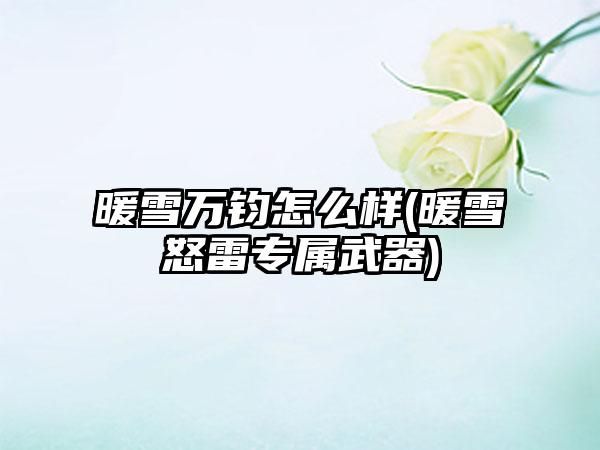 暖雪万钧怎么样(暖雪怒雷专属武器)