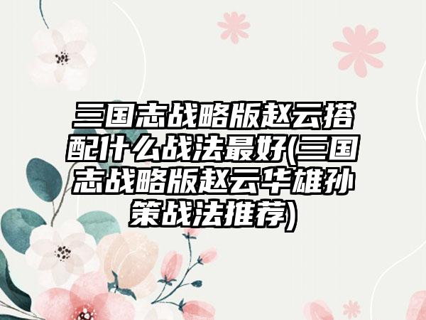 三国志战略版赵云搭配什么战法最好(三国志战略版赵云华雄孙策战法推荐)