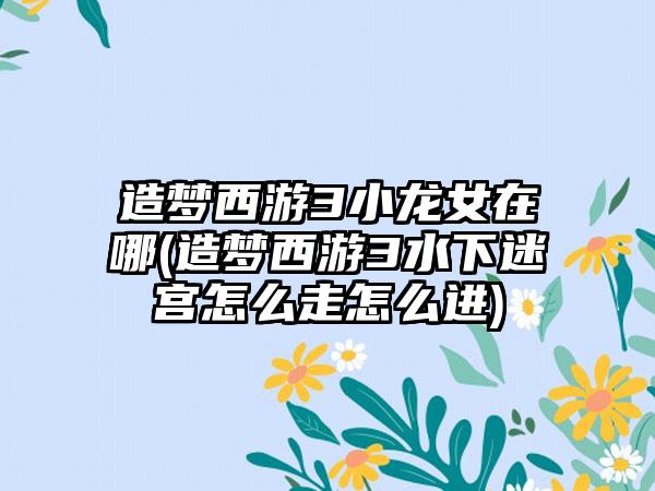 造梦西游3小龙女在哪(造梦西游3水下迷宫怎么走怎么进)