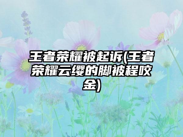 王者荣耀被起诉(王者荣耀云缨的脚被程咬金)