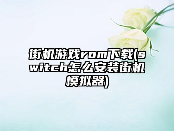 街机游戏rom下载(switch怎么安装街机模拟器)