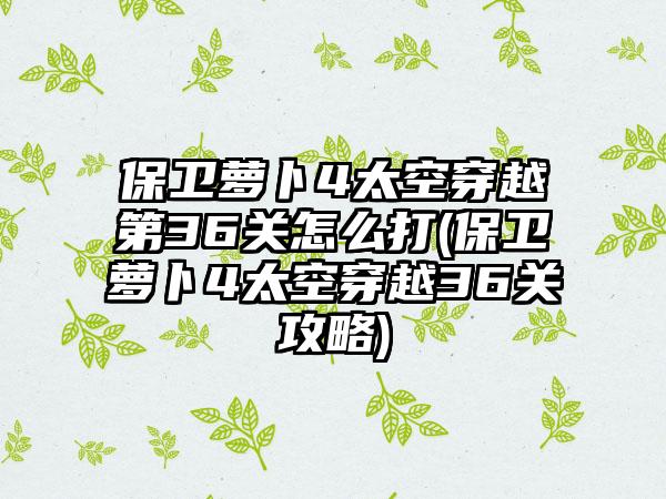 保卫萝卜4太空穿越第36关怎么打(保卫萝卜4太空穿越36关攻略)