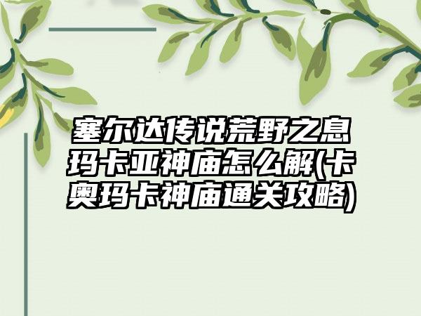 塞尔达传说荒野之息玛卡亚神庙怎么解(卡奥玛卡神庙通关攻略)