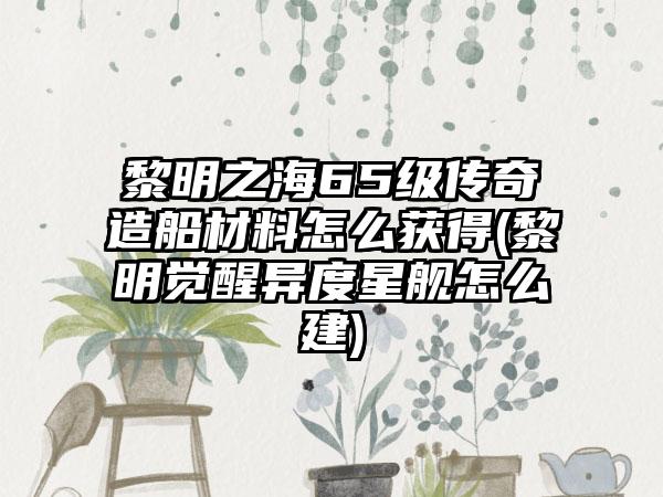黎明之海65级传奇造船材料怎么获得(黎明觉醒异度星舰怎么建)