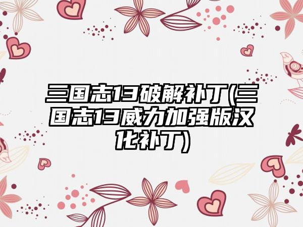 三国志13破解补丁(三国志13威力加强版汉化补丁)